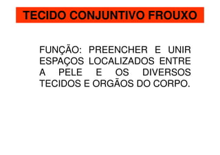 TECIDO CONJUNTIVO FROUXO

  FUNÇÃO: PREENCHER E UNIR
  ESPAÇOS LOCALIZADOS ENTRE
  A PELE E OS DIVERSOS
  TECIDOS E ORGÃOS DO CORPO.
 