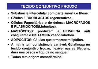 TECIDO CONJUNTIVO FROUXO
• Substância intercelular com parte amorfa e fibras.
• Células FIBROBLASTOS regenerativas.
• Células Fagocitárias e de defesa: MACRÓFAGOS
  E PLASMÓCITOS(Linfócitos).
• MASTÓCITOS: produzem a HEPARINA anti
  coagulante e HISTAMINA vasodilatadora.
• ADIPÓCITOS: Células que armazenam lipídios.
• A matriz tem consistência variável: Gelatinosa no
  tecido conjuntivo frouxo, flexível nas cartilagens,
  dura nos ossos e líquida no sangue.
• Todos tem origem mesodérmica.
 