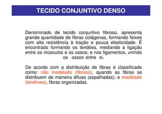 TECIDO CONJUNTIVO DENSO


Denominado de tecido conjuntivo fibroso, apresenta
grande quantidade de fibras colágenas, formando feixes
com alta resistência à tração e pouca elasticidade. É
encontrado formando os tendões, mediando a ligação
entre os músculos e os ossos; e nos ligamentos, unindo
                 os ossos entre si.

De acordo com a distribuição de fibras é classificado
como: não modelado (fibroso), quando as fibras se
distribuem de maneira difusa (espalhadas); e modelado
(tendíneo), fibras organizadas.
 