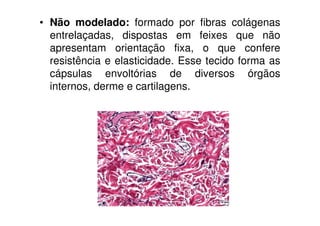 • Não modelado: formado por fibras colágenas
  entrelaçadas, dispostas em feixes que não
  apresentam orientação fixa, o que confere
  resistência e elasticidade. Esse tecido forma as
  cápsulas envoltórias de diversos órgãos
  internos, derme e cartilagens.
 