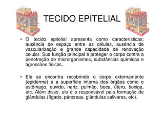 TECIDO EPITELIAL

• O tecido epitelial apresenta como características:
  ausência de espaço entre as células, ausência de
  vascularização e grande capacidade de renovação
  celular. Sua função principal é proteger o corpo contra a
  penetração de microrganismos, substâncias químicas e
  agressões físicas.

• Ele se encontra recobrindo o corpo externamente
  (epiderme) e a superfície interna dos órgãos como o
  estômago, ouvido, nariz, pulmão, boca, útero, bexiga,
  etc. Além disso, ele é o responsável pela formação de
  glândulas (fígado, pâncreas, glândulas salivares, etc).
 
