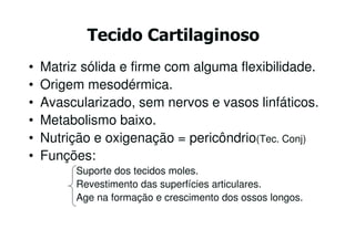 Tecido Cartilaginoso
•   Matriz sólida e firme com alguma flexibilidade.
•   Origem mesodérmica.
•   Avascularizado, sem nervos e vasos linfáticos.
•   Metabolismo baixo.
•   Nutrição e oxigenação = pericôndrio(Tec. Conj)
•   Funções:
          Suporte dos tecidos moles.
          Revestimento das superfícies articulares.
          Age na formação e crescimento dos ossos longos.
 