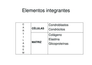 Elementos integrantes

C             Condroblastos
A   CÉLULAS
R             Condrócitos
T
              Colágeno
I
L             Elastina
    MATRIZ
A             Glicoproteínas
G
E
M
 