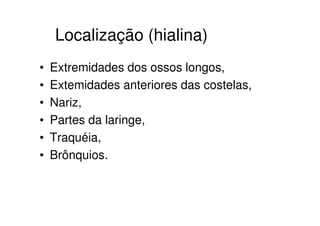 Localização (hialina)
•   Extremidades dos ossos longos,
•   Extemidades anteriores das costelas,
•   Nariz,
•   Partes da laringe,
•   Traquéia,
•   Brônquios.
 