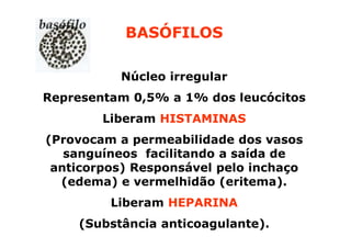 BASÓFILOS
Núcleo irregular
Representam 0,5% a 1% dos leucócitos
Liberam HISTAMINAS
(Provocam a permeabilidade dos vasos
sanguíneos facilitando a saída de
anticorpos) Responsável pelo inchaço
(edema) e vermelhidão (eritema).
Liberam HEPARINA
(Substância anticoagulante).

 