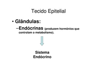 Tecido Epitelial
• Glândulas:
–Endócrinas (produzem hormônios que
controlam o metabolismo).

Sistema
Endócrino

 