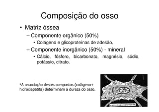 Composição do osso
• Matriz óssea
– Componente orgânico (50%)
• Colágeno e glicoproteínas de adesão.

– Componente inorgânico (50%) - mineral
• Cálcio, fósforo, bicarbonato, magnésio, sódio,
potássio, citrato.

*A associação destes compostos (colágeno+

hidroxiapatita) determinam a dureza do osso.

 