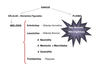SANGUE

CÉLULAS – Elementos Figurados

MIELÓIDE

Eritrócitos

PLASMA

- Glóbulos Vermelhos

Leucócitos - Glóbulos Brancos
# Neutrófilo
# Monócito = Macrófados
# Eosinófilo
Trombócitos

- Plaquetas

Sais Minerais
Mol.Orgânicas

 