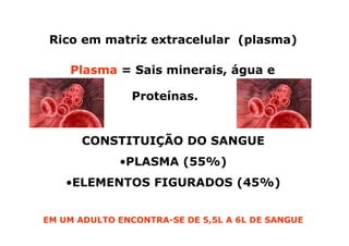 Rico em matriz extracelular (plasma)
Plasma = Sais minerais, água e
Proteínas.

CONSTITUIÇÃO DO SANGUE
•PLASMA (55%)
•ELEMENTOS FIGURADOS (45%)
EM UM ADULTO ENCONTRA-SE DE 5,5L A 6L DE SANGUE

 