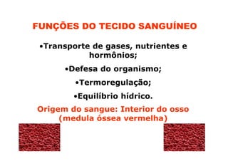 FUNÇÕES DO TECIDO SANGUÍNEO
•Transporte de gases, nutrientes e
hormônios;
•Defesa do organismo;
•Termoregulação;
•Equilíbrio hídrico.
Origem do sangue: Interior do osso
(medula óssea vermelha)

 