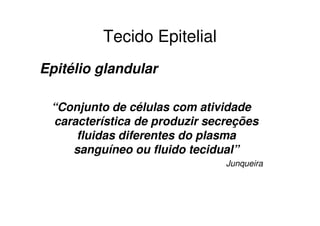 Tecido Epitelial
Epitélio glandular
“Conjunto de células com atividade
característica de produzir secreções
fluidas diferentes do plasma
sanguíneo ou fluido tecidual”
Junqueira
 