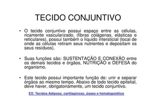 TECIDO CONJUNTIVO
• O tecido conjuntivo possui espaço entre as células,
ricamente vascularizado, (fibras colágenas, elásticas e
reticulares), possui também o líquido intersticial (local de
onde as células retiram seus nutrientes e depositam os
seus resíduos).
• Suas funções são: SUSTENTAÇÃO E CONEXÃO entre
os demais tecidos e órgãos, NUTRIÇÃO e DEFESA do
organismo.
• Este tecido possui importante função de: unir e separar
órgãos ao mesmo tempo. Abaixo de todo tecido epitelial,
deve haver, obrigatoriamente, um tecido conjuntivo.
EX: Tecidos Adiposo, cartilaginoso, ósseo e hematopoiético
 