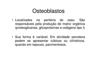 Osteoblastos
• Localizados na periferia do osso. São
responsáveis pela produção de matriz orgânica
(proteoglicanas, glicoproteínas e colágeno tipo I)
• Sua forma é variável. Em atividade secretora
podem se apresentar cúbicos ou cilíndricos,
quando em repouso, pavimentosos.
 