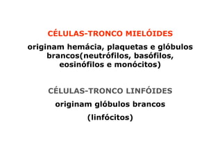 Diferenciações das células-tronco:
CÉLULAS-TRONCO MIELÓIDES
originam hemácia, plaquetas e glóbulos
brancos(neutrófilos, basófilos,
eosinófilos e monócitos)
CÉLULAS-TRONCO LINFÓIDES
originam glóbulos brancos
(linfócitos)
 