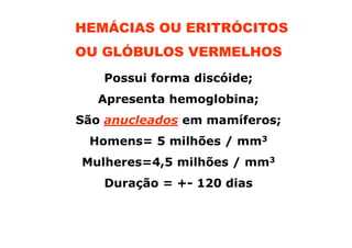 HEMÁCIAS OU ERITRÓCITOS
OU GLÓBULOS VERMELHOS
Possui forma discóide;
Apresenta hemoglobina;
São anucleados em mamíferos;
Homens= 5 milhões / mm3
Mulheres=4,5 milhões / mm3
Duração = +- 120 dias
 