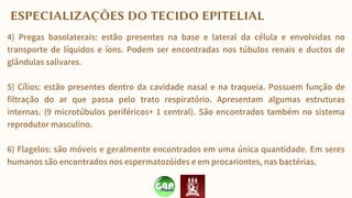 4) Pregas basolaterais: estão presentes na base e lateral da célula e envolvidas no
transporte de líquidos e íons. Podem ser encontradas nos túbulos renais e ductos de
glândulas salivares.
5) Cílios: estão presentes dentro da cavidade nasal e na traqueia. Possuem função de
filtração do ar que passa pelo trato respiratório. Apresentam algumas estruturas
internas. (9 microtúbulos periféricos+ 1 central). São encontrados também no sistema
reprodutor masculino.
6) Flagelos: são móveis e geralmente encontrados em uma única quantidade. Em seres
humanos são encontrados nos espermatozóides e em procariontes, nas bactérias.
ESPECIALIZAÇÕES DO TECIDO EPITELIAL
 
