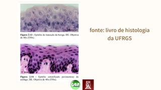 fonte: livro de histologia
da UFRGS
 