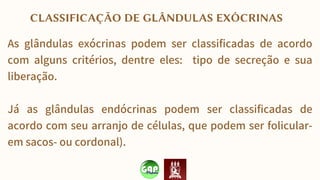 As glândulas exócrinas podem ser classificadas de acordo
com alguns critérios, dentre eles: tipo de secreção e sua
liberação.
Já as glândulas endócrinas podem ser classificadas de
acordo com seu arranjo de células, que podem ser folicular-
em sacos- ou cordonal).
CLASSIFICAÇÃO DE GLÂNDULAS EXÓCRINAS
 