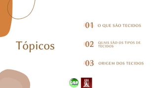 Tópicos
O QUE SÃO TECIDOS
01
QUAIS SÃO OS TIPOS DE
TECIDOS
02
ORIGEM DOS TECIDOS
03
 