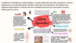 A epiderme é formada por tecido epitelial, a camada subjacente de tecido conjuntivo é a derme,
seguida por um tecido subcutâneo, também conhecida como hipoderme. Há também uma
cobertura impermeável, a cutícula. Há uma variedade de anexos, tais como pelos, escamas,
chifres, garras e penas.
 