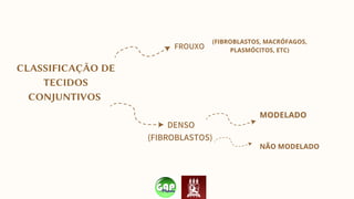 CLASSIFICAÇÃO DE
TECIDOS
CONJUNTIVOS
DENSO
(FIBROBLASTOS)
FROUXO
MODELADO
NÃO MODELADO
(FIBROBLASTOS, MACRÓFAGOS,
PLASMÓCITOS, ETC)
 