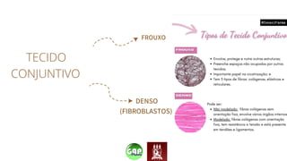 DENSO
(FIBROBLASTOS)
FROUXO
TECIDO
CONJUNTIVO
 