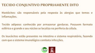 TECIDO CONJUNTIVO PROPRIAMENTE DITO
Mastócitos: são responsáveis pela resposta às alergias que temos e
inflamações.
Tecido adiposo: conhecido por armazenar gorduras. Possuem formato
esférico e grande e seu núcleo se localiza na periferia da célula.
Os leucócitos estão presentes no intestino e sistema respiratório, fazendo
com que o sistema imunológico combata infecções.
 