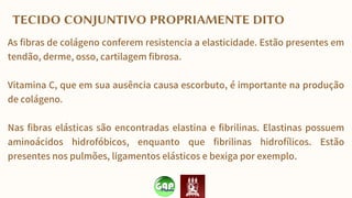 TECIDO CONJUNTIVO PROPRIAMENTE DITO
As fibras de colágeno conferem resistencia a elasticidade. Estão presentes em
tendão, derme, osso, cartilagem fibrosa.
Vitamina C, que em sua ausência causa escorbuto, é importante na produção
de colágeno.
Nas fibras elásticas são encontradas elastina e fibrilinas. Elastinas possuem
aminoácidos hidrofóbicos, enquanto que fibrilinas hidrofílicos. Estão
presentes nos pulmões, ligamentos elásticos e bexiga por exemplo.
 