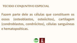 TECIDO CONJUNTIVO ESPECIAL
Fazem parte dele as células que constituem os
ossos (osteoblastos, osteócitos), cartilagem
(condroblastos, condrócitos), células sanguíneas
e hematopoéticas.
 