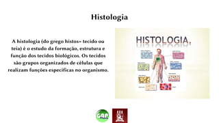 Histologia
A histologia (do grego histos= tecido ou
teia) é o estudo da formação, estrutura e
função dos tecidos biológicos. Os tecidos
são grupos organizados de células que
realizam funções específicas no organismo.
 