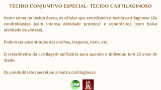 TECIDO CONJUNTIVO ESPECIAL- TECIDO CARTILAGINOSO
Assim como no tecido ósseo, as células que constituem o tecido cartilaginoso são
condroblastos (com intensa atividade proteica) e condrócitos (com baixa
atividade de síntese).
Podem ser encontrados nas orelhas, traqueia, nariz, etc.
O crescimento da cartilagem epifisiária para quando o indivíduo tem 20 anos de
idade.
Os condroblastos secretam a matriz cartilaginosa
 