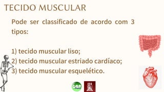 Pode ser classificado de acordo com 3
tipos:
1) tecido muscular liso;
2) tecido muscular estriado cardíaco;
3) tecido muscular esquelético.
TECIDO MUSCULAR
 