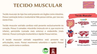 Tecido muscular do tipo liso está presente em órgãos como intestino.
Possui contração lenta e involuntária! Não possui estrias, por isso seu
nome é liso.
Tecido muscular estriado cardíaco está presente exclusivamente no
coração. Possui 3 camadas: miocárdio (músculo em si, que ocorre no
infarte), pericárdio (camada mais externa) e endocárdio (mais
interna). Possui contração involuntária e rápida! Possui estrias.
O tecido muscular estriado esquelético está presente nas
articulações, ossos. Possui movimento voluntário e rapido! Possui
estrias, assim como o cardíaco.
TECIDO MUSCULAR
 