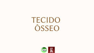 TECIDO
ÓSSEO
 