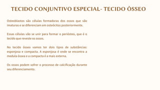 Osteoblastos são células formadoras dos ossos que são
imaturas e se diferenciam em osteócitos posteriormente.
Essas células vão se unir para formar o periósteo, que é o
tecido que reveste os ossos.
No tecido ósseo vamos ter dois tipos de substâncias:
esponjosa e compacta. A esponjosa é onde se encontra a
medula óssea e a compacta é a mais externa.
Os ossos podem sofrer o processo de calcificação durante
seu diferenciamento.
TECIDO CONJUNTIVO ESPECIAL- TECIDO ÓSSEO
 
