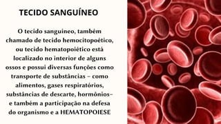 O tecido sanguíneo, também
chamado de tecido hemocitopoético,
ou tecido hematopoiético está
localizado no interior de alguns
ossos e possui diversas funções como
transporte de substâncias – como
alimentos, gases respiratórios,
substâncias de descarte, hormônios–
e também a participação na defesa
do organismo e a HEMATOPOIESE
TECIDO SANGUÍNEO
 