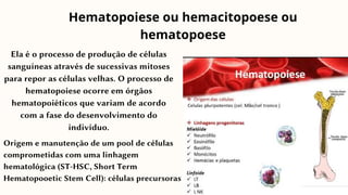 Ela é o processo de produção de células
sanguíneas através de sucessivas mitoses
para repor as células velhas. O processo de
hematopoiese ocorre em órgãos
hematopoiéticos que variam de acordo
com a fase do desenvolvimento do
indivíduo.
Hematopoiese ou hemacitopoese ou
hematopoese
Origem e manutenção de um pool de células
comprometidas com uma linhagem
hematológica (ST-HSC, Short Term
Hematopooetic Stem Cell): células precursoras
 