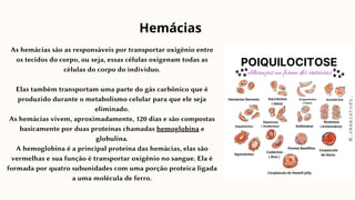 As hemácias são as responsáveis por transportar oxigênio entre
os tecidos do corpo, ou seja, essas células oxigenam todas as
células do corpo do indivíduo.
Elas também transportam uma parte do gás carbônico que é
produzido durante o metabolismo celular para que ele seja
eliminado.
As hemácias vivem, aproximadamente, 120 dias e são compostas
basicamente por duas proteínas chamadas hemoglobina e
globulina.
A hemoglobina é a principal proteína das hemácias, elas são
vermelhas e sua função é transportar oxigênio no sangue. Ela é
formada por quatro subunidades com uma porção proteica ligada
a uma molécula de ferro.
Hemácias
 