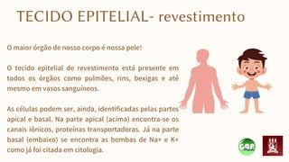 O maior órgão de nosso corpo é nossa pele!
O tecido epitelial de revestimento está presente em
todos os órgãos como pulmões, rins, bexigas e até
mesmo em vasos sanguíneos.
As células podem ser, ainda, identificadas pelas partes
apical e basal. Na parte apical (acima) encontra-se os
canais iônicos, proteínas transportadoras. Já na parte
basal (embaixo) se encontra as bombas de Na+ e K+
como já foi citada em citologia.
TECIDO EPITELIAL- revestimento
 
