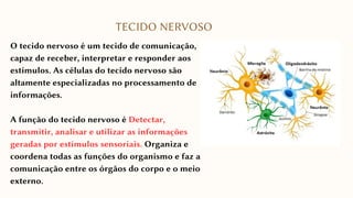 O tecido nervoso é um tecido de comunicação,
capaz de receber, interpretar e responder aos
estímulos. As células do tecido nervoso são
altamente especializadas no processamento de
informações.
A função do tecido nervoso é Detectar,
transmitir, analisar e utilizar as informações
geradas por estímulos sensoriais. Organiza e
coordena todas as funções do organismo e faz a
comunicação entre os órgãos do corpo e o meio
externo.
TECIDO NERVOSO
 
