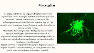 Os oligodendrócitos ou oligodendroglías: são um tipo
específico de células macroglia. Tem tamanho menor que o dos
astrócitos , além de extensões curtas e escassas. Elas
realizam principalmente atividades de suporte e ligação. Eles
também têm a importante função de gerar a bainha de mielina no
sistema nervoso central.
Atualmente, dois tipos principais de oligodendrócitos foram
descritos na neuroglia do sistema nervoso central: os
oligodendrócitos interfasciculares responsáveis ​
​
pela produção de
mielina e os oligodendrócitos satélites que parecem desenvolver
funções na resposta sexual.
Especificamente, os oligodendrócitos surgem de precursores que
migram através da substância branca , de áreas germinativas dos
ventrículos e do canal central da medula espinhal .
Macroglias
 