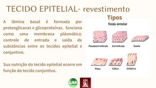 A lâmina basal é formada por
proteoglicanas e glicoproteínas. funciona
como uma membrana plásmática:
controle de entrada e saída de
substâncias entre os tecidos epitelial e
conjuntivo.
Sua nutrição do tecido epitelial ocorre em
função do tecido conjuntivo.
TECIDO EPITELIAL- revestimento
Tipos
 