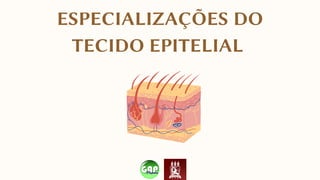 ESPECIALIZAÇÕES DO
TECIDO EPITELIAL
 
