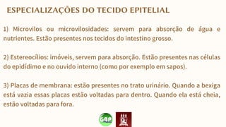ESPECIALIZAÇÕES DO TECIDO EPITELIAL
1) Microvilos ou microvilosidades: servem para absorção de água e
nutrientes. Estão presentes nos tecidos do intestino grosso.
2) Estereocílios: imóveis, servem para absorção. Estão presentes nas células
do epidídimo e no ouvido interno (como por exemplo em sapos).
3) Placas de membrana: estão presentes no trato urinário. Quando a bexiga
está vazia essas placas estão voltadas para dentro. Quando ela está cheia,
estão voltadas para fora.
 