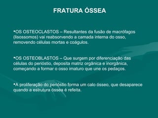 FRATURA ÓSSEA
OS OSTEOCLASTOS – Resultantes da fusão de macrófagos
(lisossomos) vai reabsorvendo a camada interna do osso,
removendo células mortas e coágulos.
OS OSTEOBLASTOS – Que surgem por diferenciação das
células do perióstio, deposita matriz orgânica e inorgânica,
começando a formar o osso imaturo que une os pedaços.
A proliferação do perióstio forma um calo ósseo, que desaparece
quando a estrutura óssea é refeita.
 