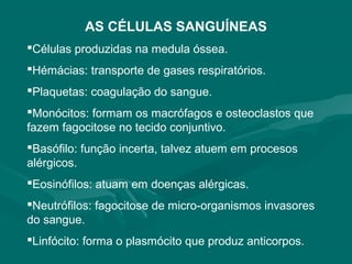 AS CÉLULAS SANGUÍNEAS
Células produzidas na medula óssea.
Hémácias: transporte de gases respiratórios.
Plaquetas: coagulação do sangue.
Monócitos: formam os macrófagos e osteoclastos que
fazem fagocitose no tecido conjuntivo.
Basófilo: função incerta, talvez atuem em procesos
alérgicos.
Eosinófilos: atuam em doenças alérgicas.
Neutrófilos: fagocitose de micro-organismos invasores
do sangue.
Linfócito: forma o plasmócito que produz anticorpos.
 