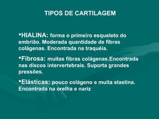 TIPOS DE CARTILAGEM
HIALINA: forma o primeiro esqueleto do
embrião. Moderada quantidade de fibras
colágenas. Encontrada na traquéia.
Fibrosa: muitas fibras colágenas.Encontrada
nas discos intervertebrais. Suporta grandes
pressões.
Elásticas: pouco colágeno e muita elastina.
Encontrada na orelha e nariz
 
