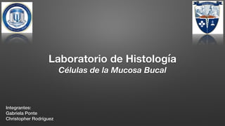 Laboratorio de Histología
Células de la Mucosa Bucal
Integrantes:
Gabriela Ponte
Christopher Rodríguez
 