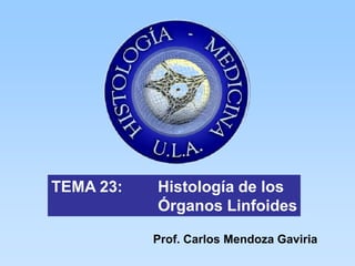 TEMA 23:   Histología de los
           Órganos Linfoides

           Prof. Carlos Mendoza Gaviria
 