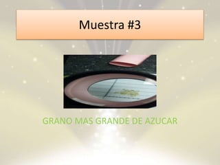 Muestra #3
GRANO MAS GRANDE DE AZUCAR
 